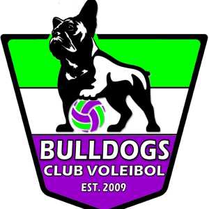 Escudo del club de voley CDE VB VILLANUEVA DEL PARDILLO
