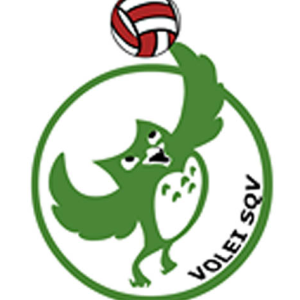 escudo club Club de Voleibol Sant Quirze