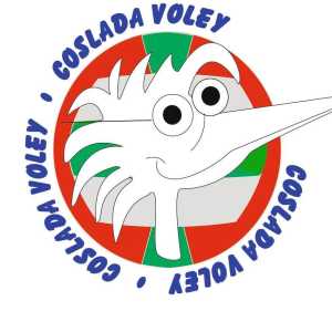 Escudo del club de voley CV COSLADA